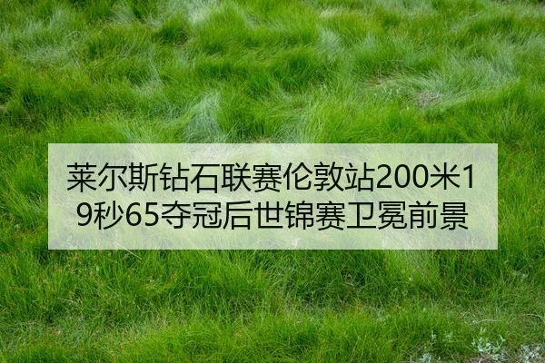 lai-er-si-zuan-shi-lian-sai-lun-dun-zhan-mi-miao-duo-guan-hou-shi-jin-sai-wei-mian-qian-jing-2-937.jpg